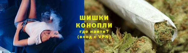 гидропоника Белокуриха