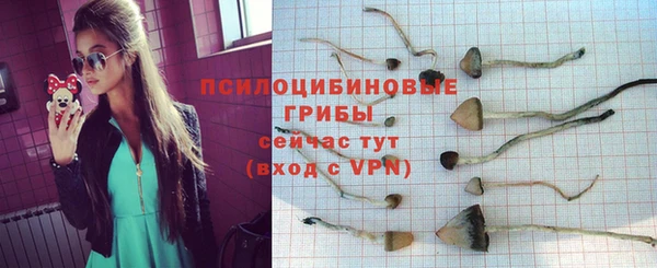 соль курить ск Липки