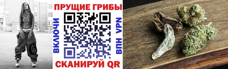 купить закладку  hydra ссылка  Псилоцибиновые грибы мицелий  Бобров 